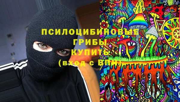 первитин Алексеевка