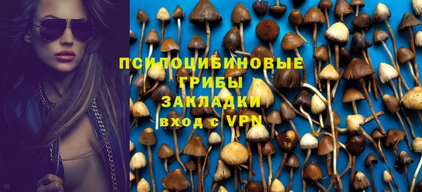 прущая мука Осташков