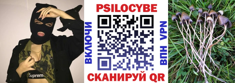 купить  цена  Ардатов  OMG ссылка  Галлюциногенные грибы мицелий 